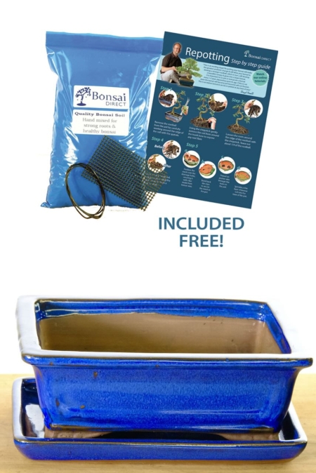 Blue rectangular ceramic pot with matching trays. Lush colour in vibrant glaze.