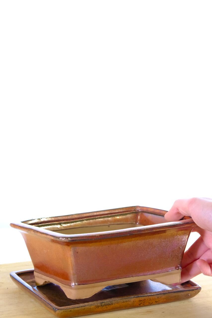 Bronze ceramic rectangular bonsai pot with tray for sale