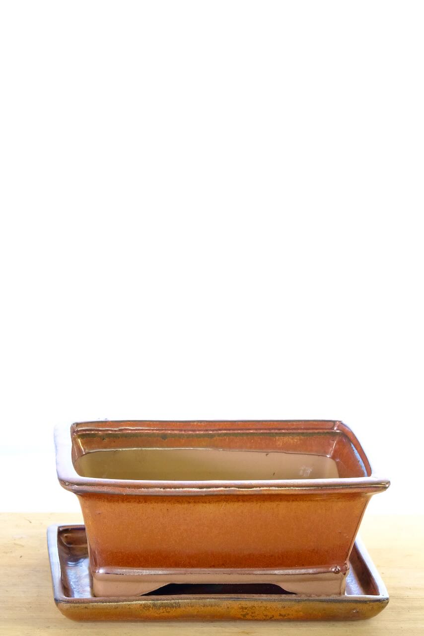 Free delivery of this pot | Choose the date