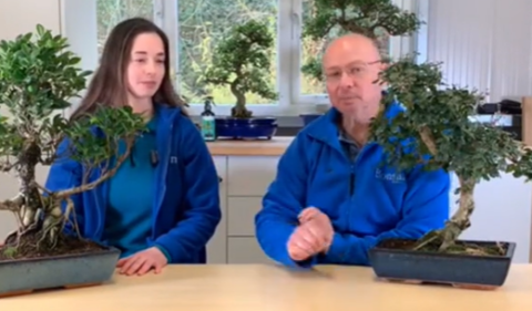 Part 1 of Lloyd & Holly's big repot