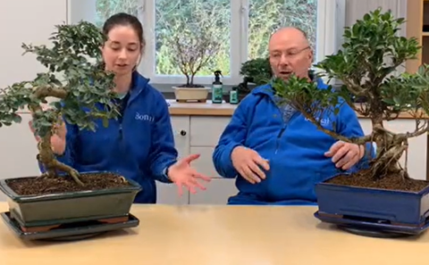 Part 4 of Holly & Lloyd's big repot!