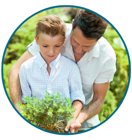 Easy care bonsai trees for beginners