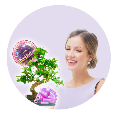 Bonsai tree gifts for women