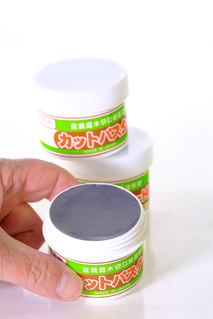 Grey bonsai cut paste - white lid