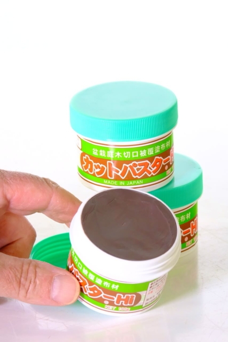 Brown bonsai cut paste -green lid