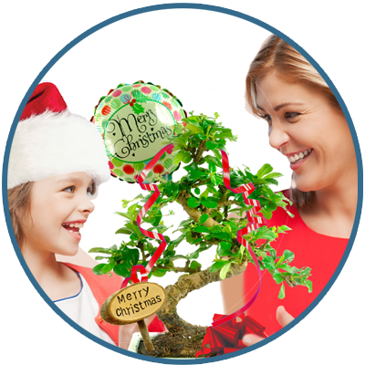 Christmas Bonsai Tree Gifts