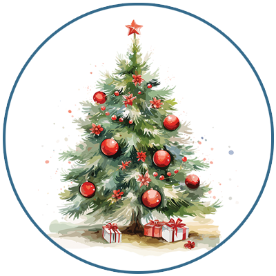 Top Quality Christmas Bonsai Trees for Sale