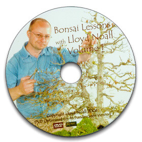 Free Bonsai tree DVD