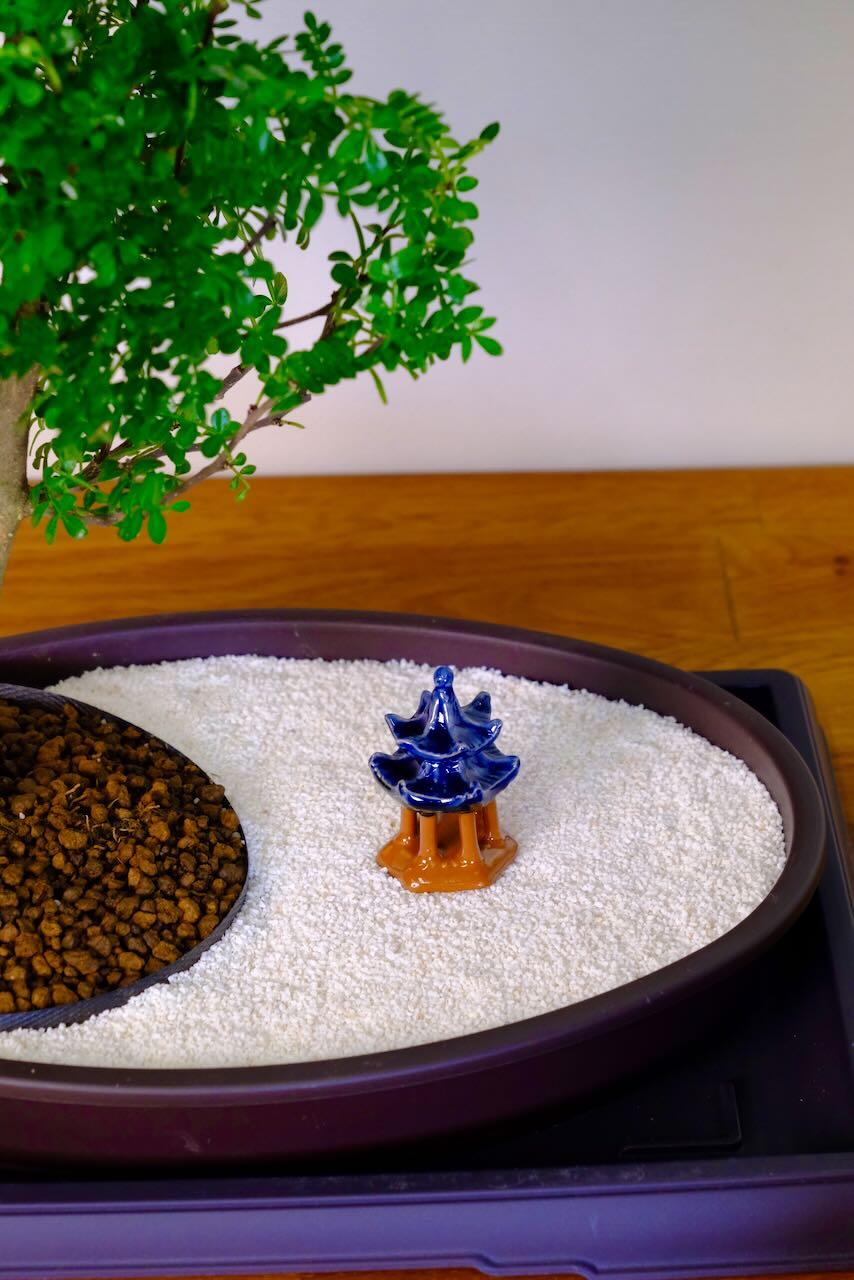 Bonsai Mini Zen Garden | Zen Bonsai Garden - ENLIGHTENMENT