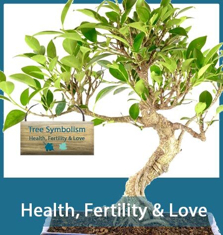 TREE SYMBOLISM
Health, Fertility & Love