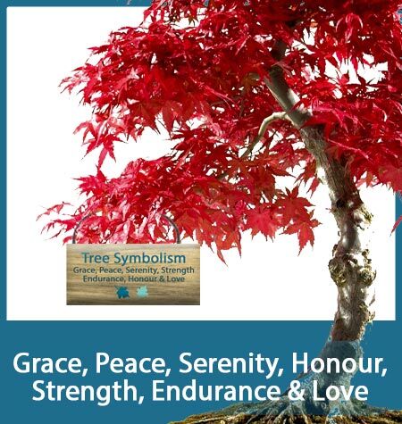 TREE SYMBOLISM
Grace, Peace, Serenity, Honour,
Strength, Endurance & Love