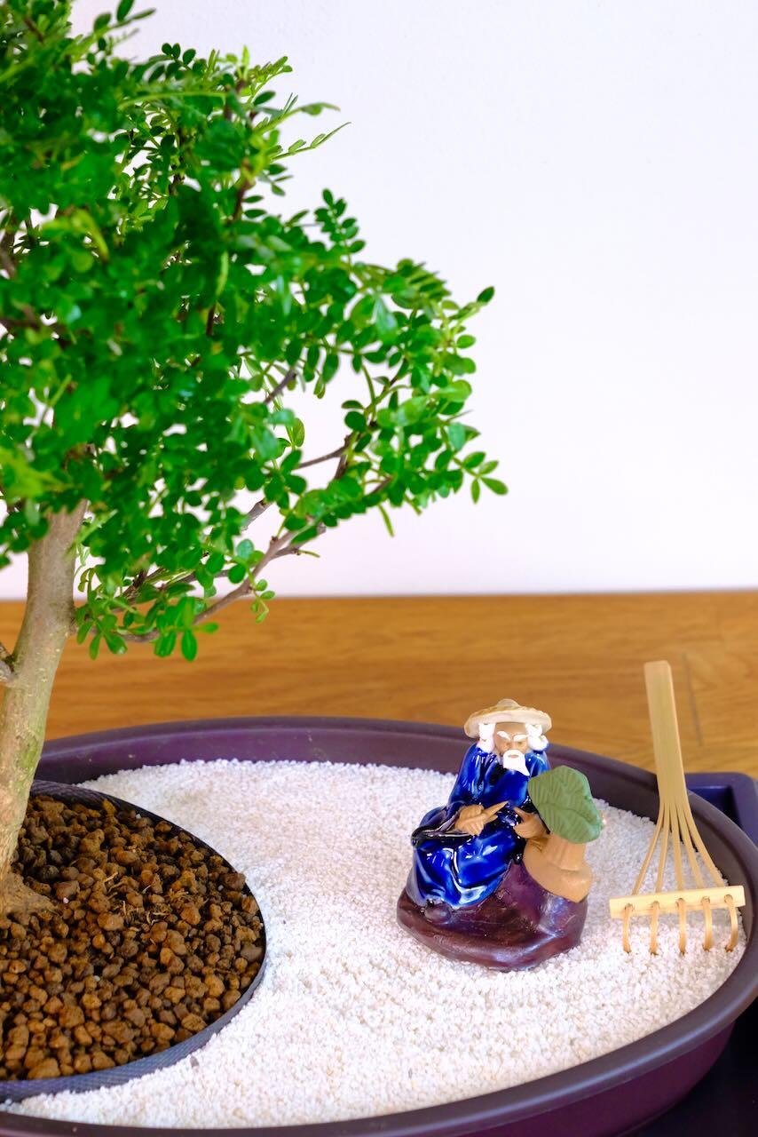 Bonsai zen garden with bamboo rake and white sand