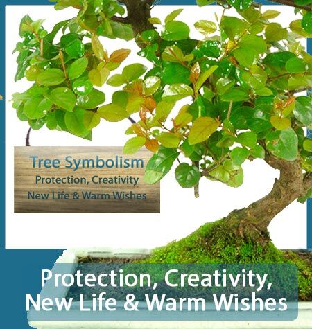 TREE SYMBOLISM
Protection, Creativity, New Life & Warm Wishes