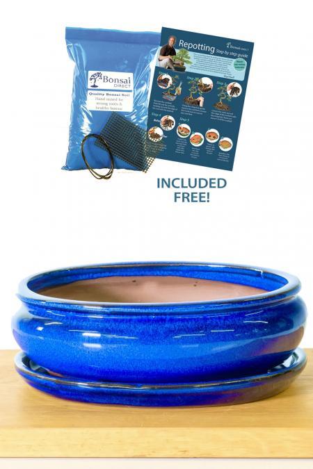 27cm (10 inch) Oval Glazed Royal Blue Ceramic Bonsai Pot & Matching Tray