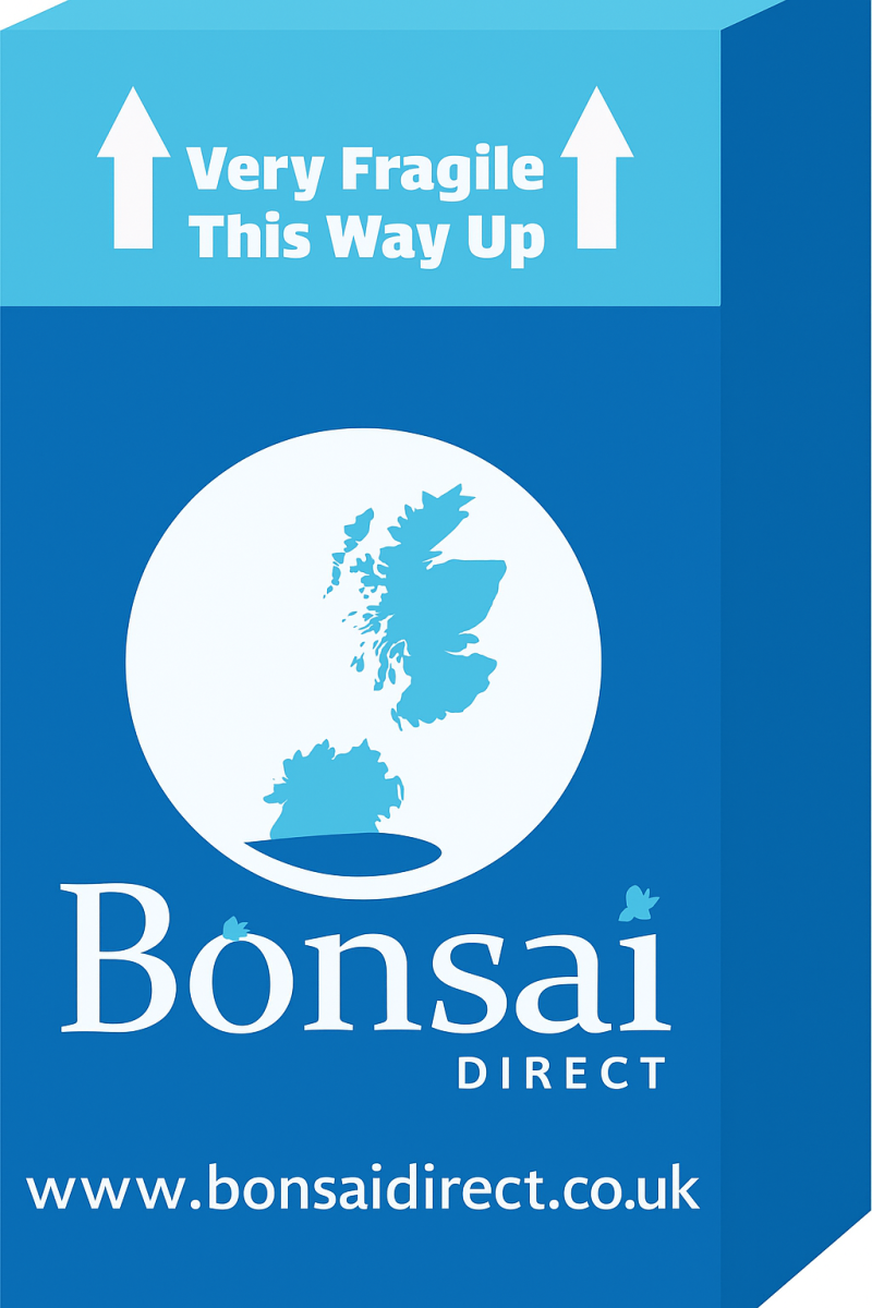 Most of our bonsai (minus some smaller bonsai and orders containing only dry goods) are delivered in bespoke packaging.