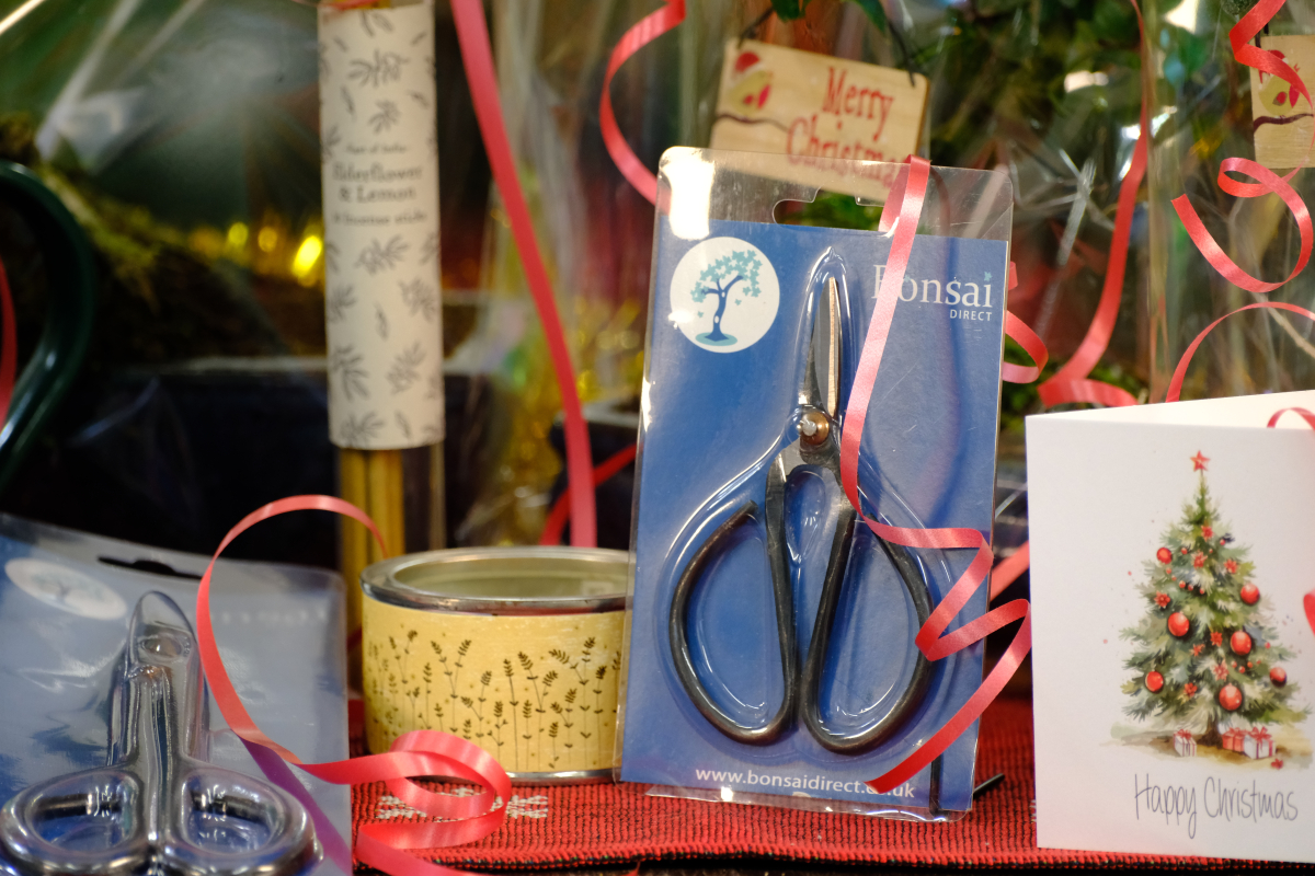 Bonsai candle and incense - relax at Christmas