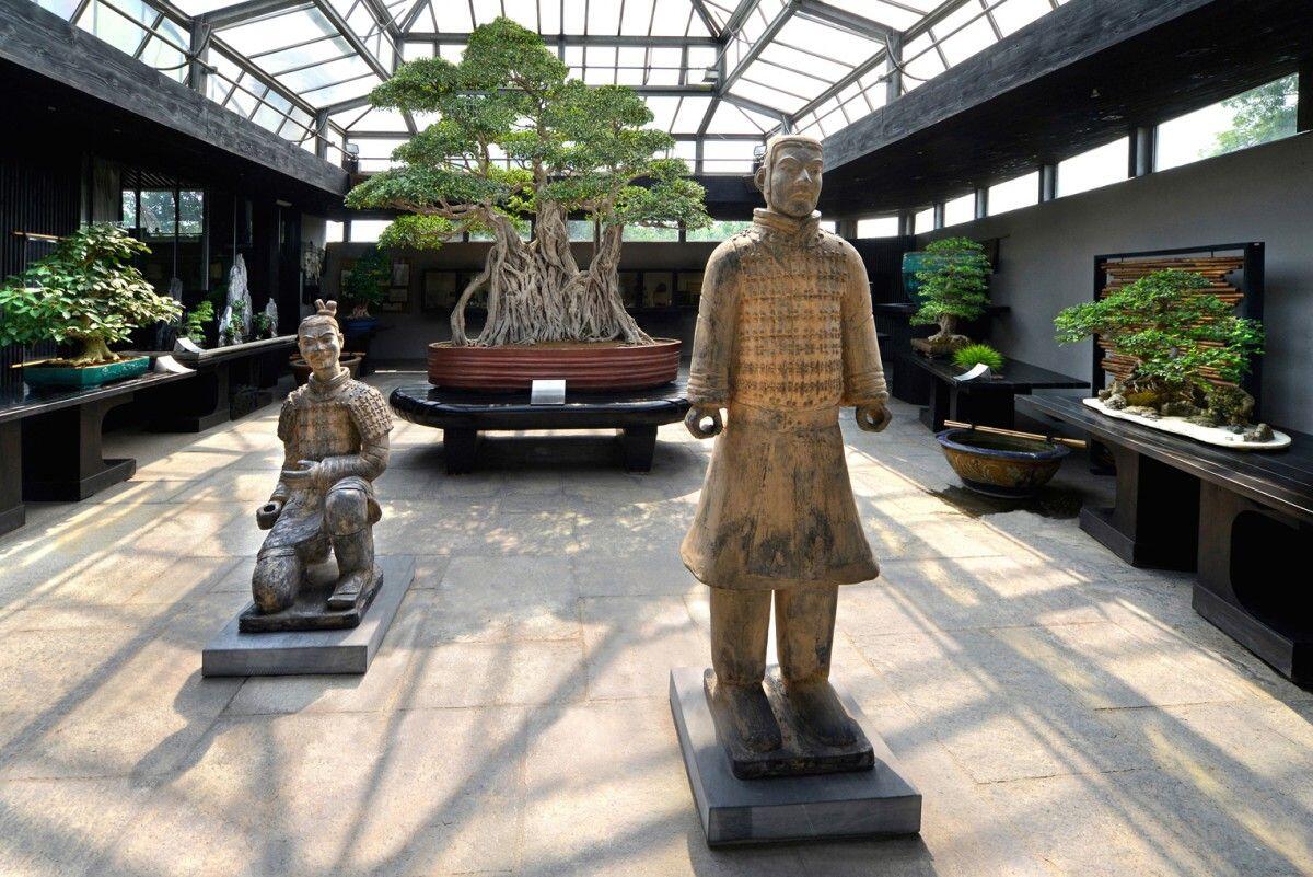 Credit: Crespi Bonsai Centre Italy
A masterpiece of Crespi Bonsai Museum is the millenary Ficus retusa Linn